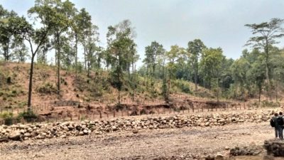 वन जोगाएर आम्दानी बढाउन लुम्बिनीमा ‘एन्जिओप्लाष्टी’ अभियान