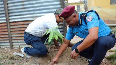 एकै दिन एक लाखभन्दा बढी बिरुवा रोपियो