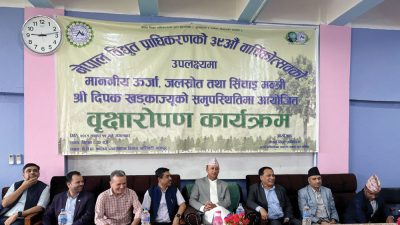 जलविद्युत् विकासका बाधा हटाउने प्रतिबद्धता