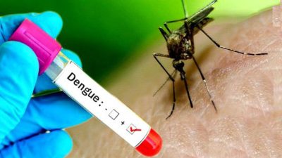 मनसुन सक्रिय भएसँगै डेंगु सङ्क्रमण बढ्दो