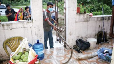 ज्ञान नहुँदा सर्पलाई शत्रु ठान्छन् मान्छे