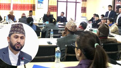 रवि लामिछाने राज्य व्यवस्था समितिबाट पनि निलम्बित, सभापति रामहरि खतिवडाले सुनाए निर्णय