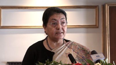 सहिदहरूको बलिदानको कदर गर्न पूर्वराष्ट्रपति भण्डारीको आह्वान