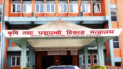 विभिन्न सेवाका ९ शाखा अधिकृत उपसचिवमा बढुवाका लागि सिफारिस (सूचीसहित)