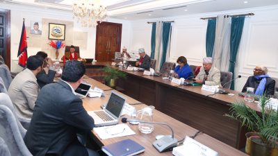 स्थानीय तहका प्रमुख र उपप्रमुख एकैचोटि रिक्त वा निलम्बन भए कार्यवाहक तोक्न खुल्यो बाटो