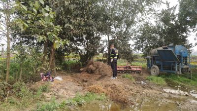 बालिकाको शव बारीमा गाडेको अवस्थामा फेला, मामाघरको हजुरबुवा पक्राउ