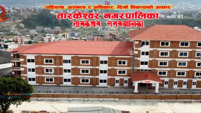 तारकेश्वरमा एक महिनादेखि प्रमुख प्रशासकिय अधिकृत नहुँदा जनताका आधारभूत काम ठप्प , भुक्तानी, ठेक्का सम्झौतादेखि बिषयगत शाखाका कर्मचारी टिक्नैसकेनन