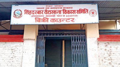 जडीबुटी नदिने ठेकेदारलाई सधैँ ठेक्का