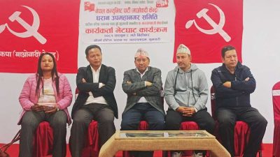 हामी देशको क्रान्तिकारी राजनीतिक शक्ति हौँ : उपाध्यक्ष श्रेष्ठ