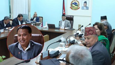 कुलमानलाई बर्खास्त गर्ने सरकारको निर्णय