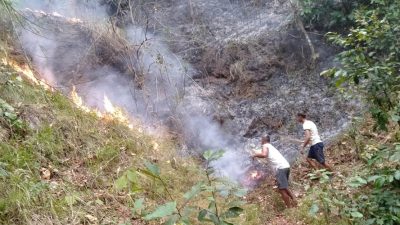 आगलागीले १६२ हेक्टर जङ्गल सखाप