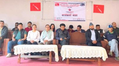 युथ सेलिब्रेसनका लागि अनेरास्ववियुको विशेष तयारी