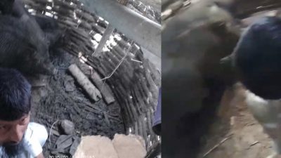 सर्लाहीका तस्लिम अन्सारीलाई सुँगुरको खोरभित्र हालेर कुटपिट, १० जना पक्राउ