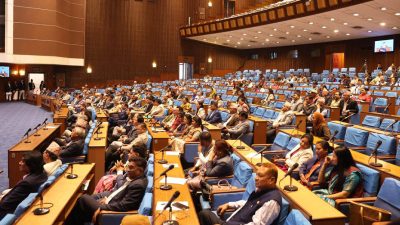 विद्युत् आपूर्तिमा देखिएको समस्या समाधान गर्न माग