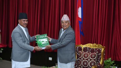 सरकारी बेरूजु ७ खर्ब ३३ अर्ब बढी