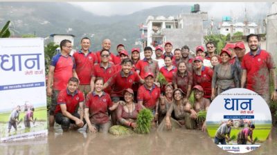 ग्लोबल आइएमई बैंकद्वारा राष्ट्रिय धान दिवसको अवसरमा “धान खेती कर्जा”…
