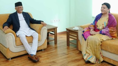 पूर्वराष्ट्रपति भण्डारीको सदस्यता कायम नराखिने, राजनीतिमा आउन नपाउने