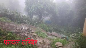मकालुको पाखुरी खोलामा बाढी : २ सयभन्दा बढी भेडा हराए