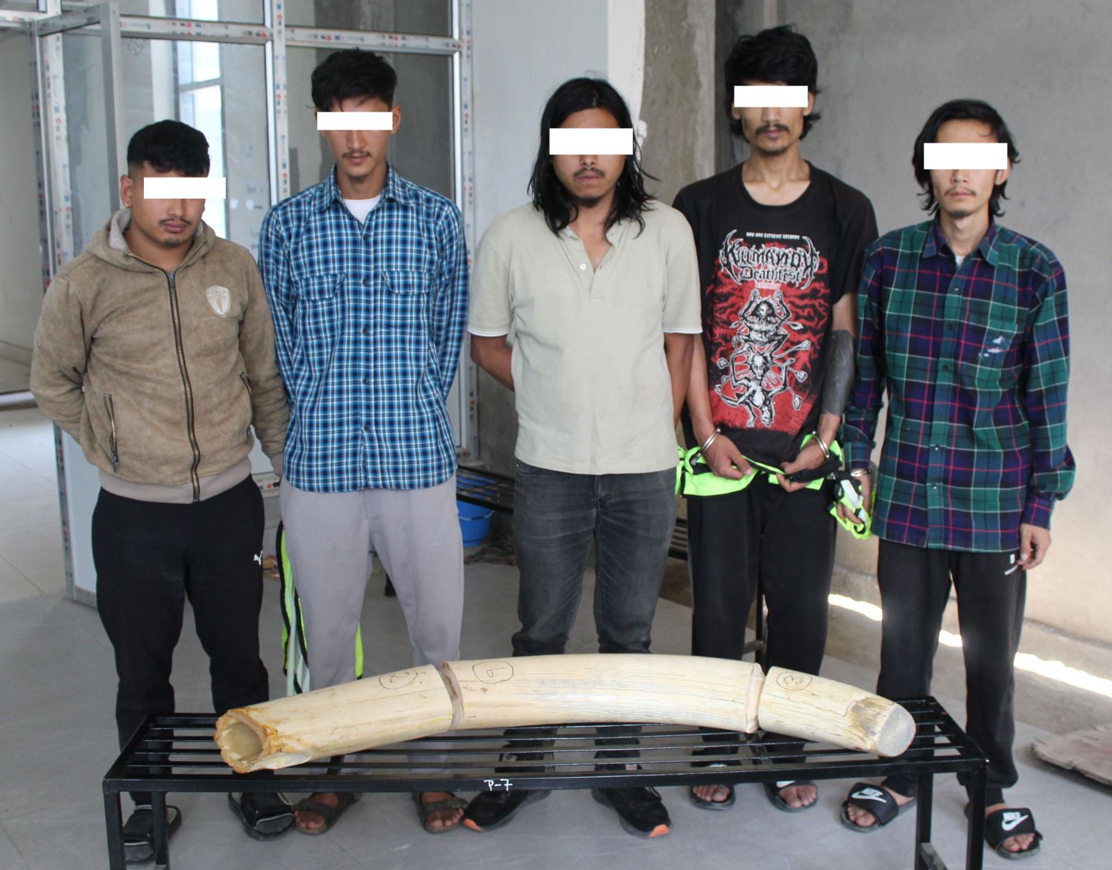 मनमैजुमा प्रहरीको अपरेसनः लुटिएको हात्तीको दाह्रासहित ५ जना पक्राउ