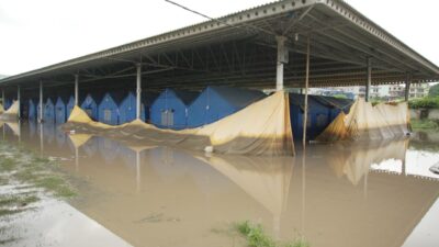 सुकुम्वासी होल्डिङ सेन्टर डुबानमा